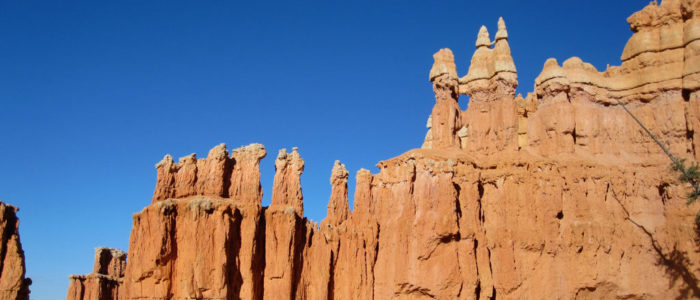 Folate Receptor and Transporter Meeting at Bryce Canyon National Park